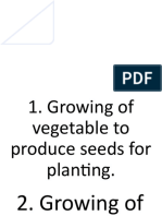 Growing Vegetables for Food & Profit