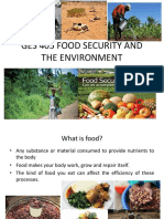 Ges405 Food Security Notes