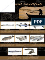 Fish and Shellfish Infographics - Group 2