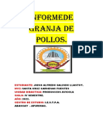 Informe de Pollos de San Gabriel