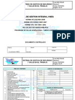 HSE-PSO-01 Programa de Salud Ocupacional (V2)