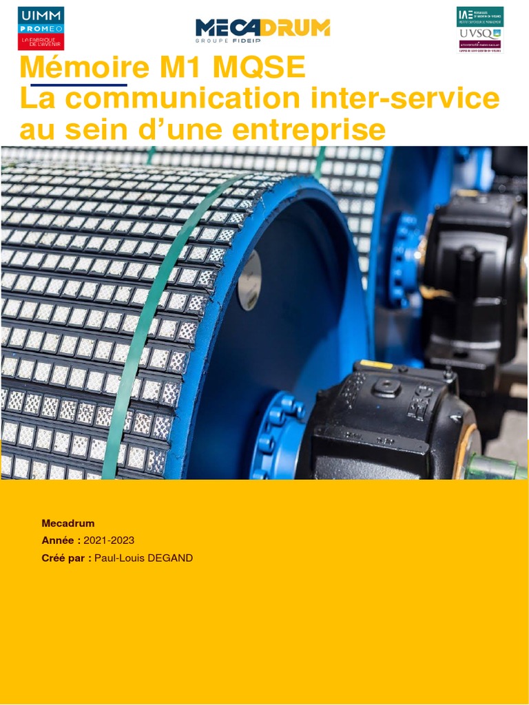 Mémoire M1 MQSE Paul-Louis DEGAND | PDF | Business | la communication