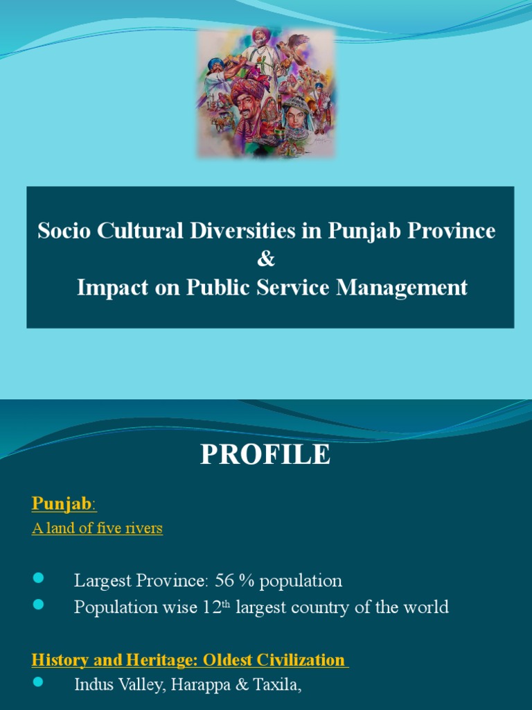 Punjab's Cultural Diversity and Challenges | PDF | Punjab | South Asia