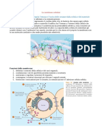 4 Le Membrane Cellulari