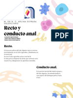 Recto y Conducto Anal