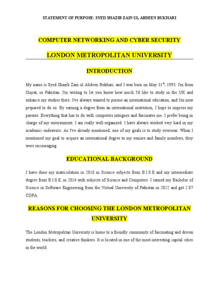 Computer Networking and Cyber Security (LMU) PDF Academic Degree