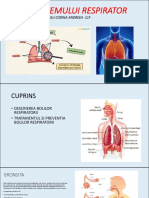 Bolile Sistemului Respirator
