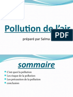 La Pollution