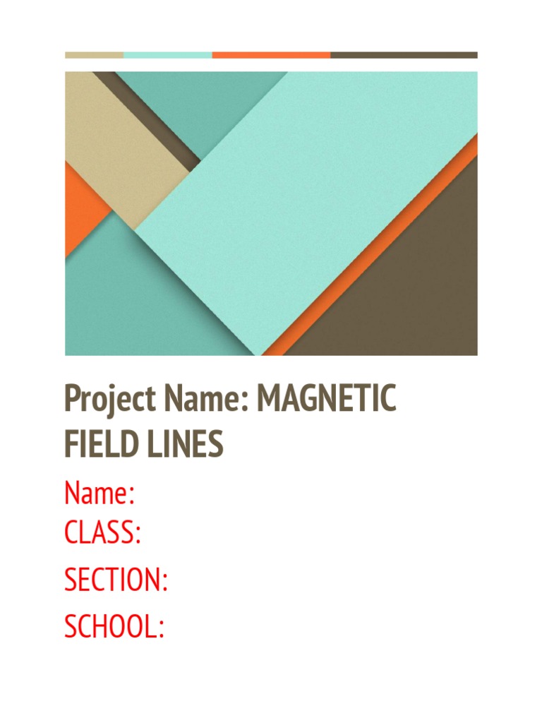 Project Proposal | PDF | Magnetic Field | Electric Current