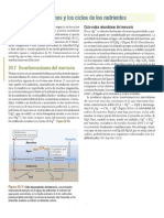 Efectos Antrópicos Sobre Los Ciclos Biogeoquímicos