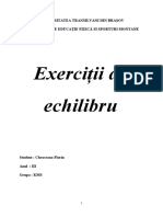 Exercitii de Echilibru 1 2 PDF Free