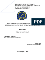 Rezumat Teza.popescu Rodica PDF