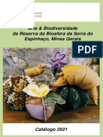 Arte & Biodiversidade da Reserva da Biosfera da Serra do Espinhaço, Minas Gerais.