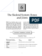 (Checked) Rodriguez Maria Andrea N Skeletal System Worksheet 5