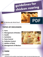 2-Basic Guidelines For Broiler Chicken Rearing