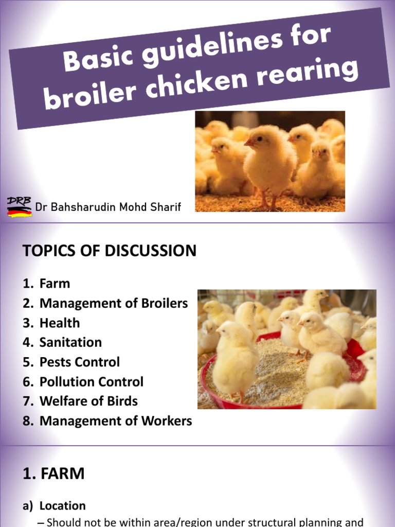 2-basic-guidelines-for-broiler-chicken-rearing-pdf-poultry-farming
