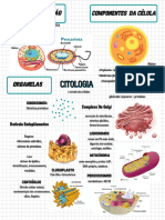 CITOLOGIA