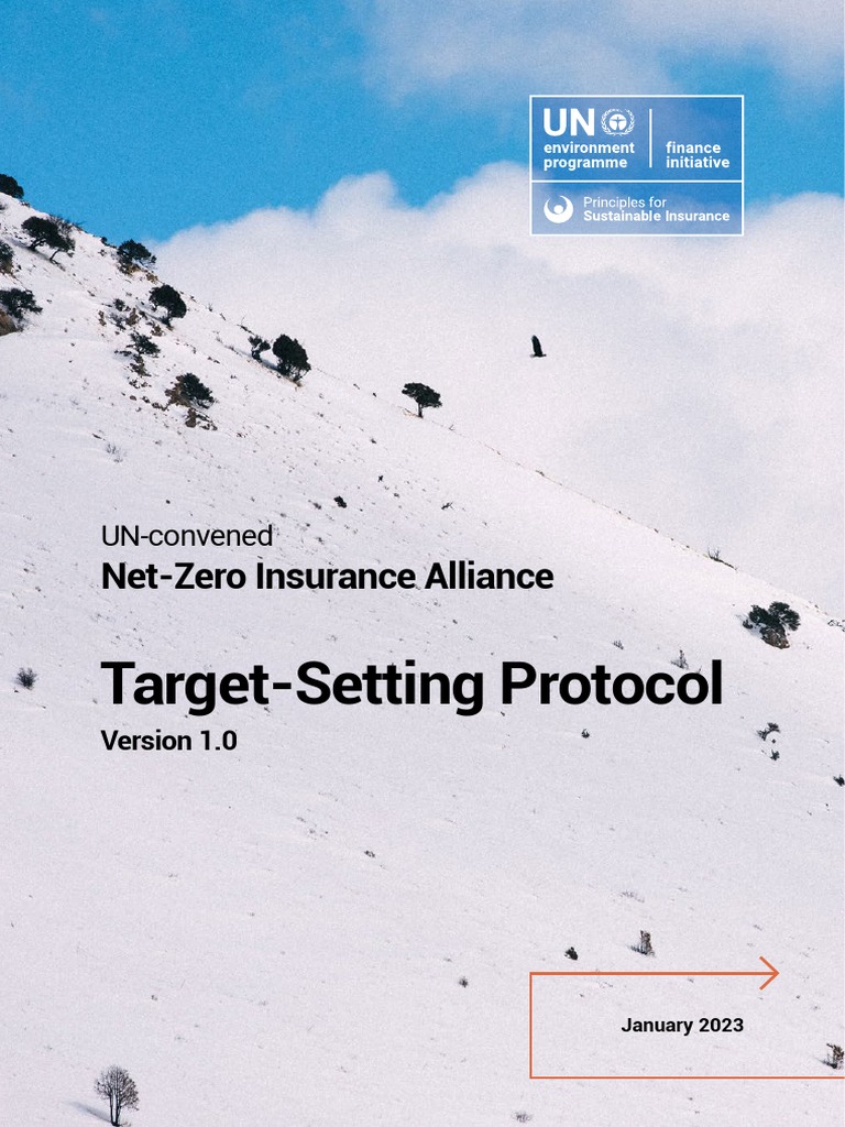 NZIA Target Setting Protocol Version 1.0 | PDF | Greenhouse Gas ...