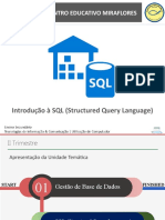 Intro SQL ALTER