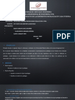 Informe de Cuadro Comparativo de Las Diferentes Patologias en Cada Vivienda 1