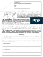 Classificação das lutas em curta, média e longa distância