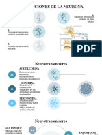 Neuron Infographics by Slidesgo