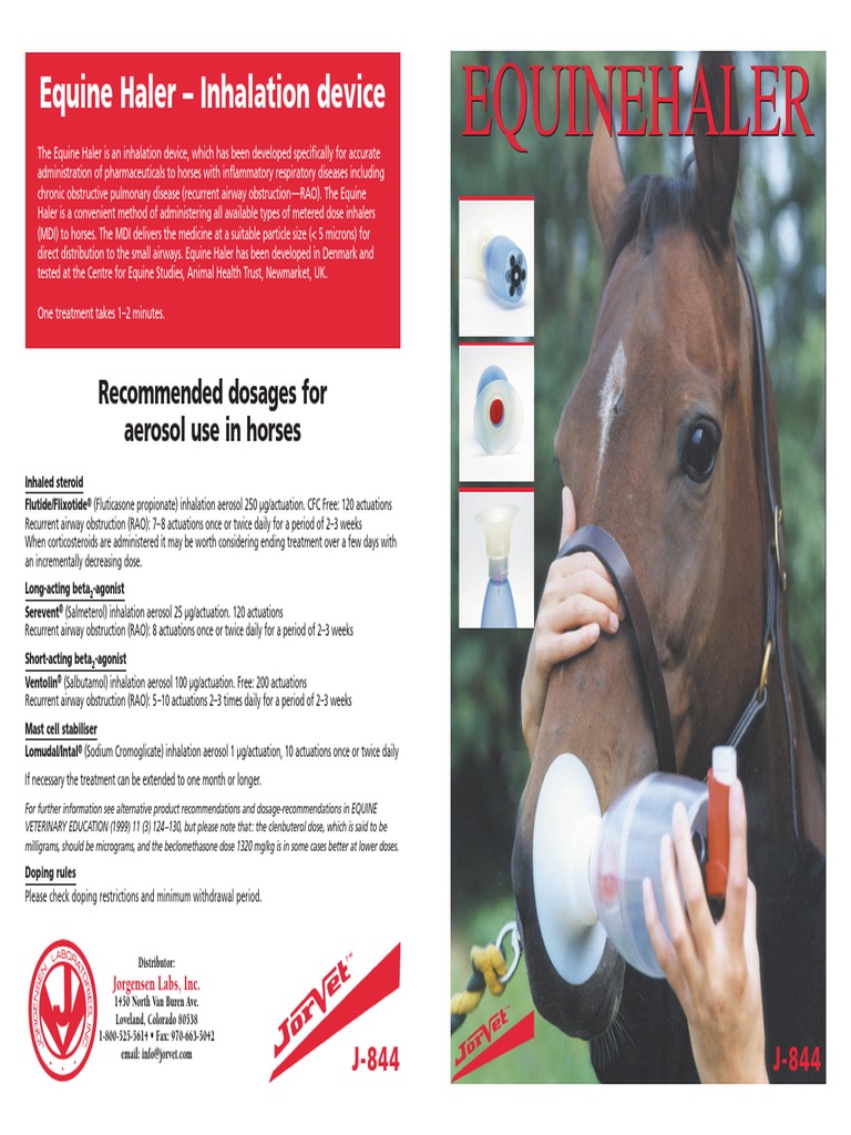 Equinehaler | PDF | Respiratory Diseases | Clinical Medicine