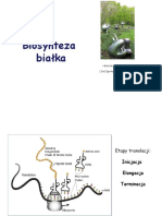 Wykład 5 - Biosynteza Białka