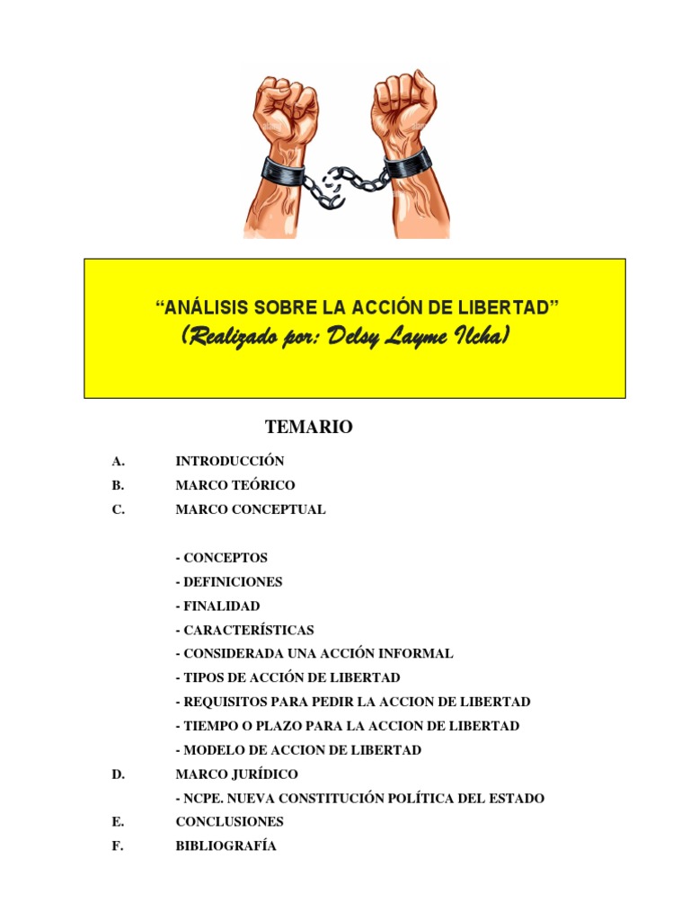Análisis de la Acción de Libertad en Bolivia | PDF | Habeas corpus ...