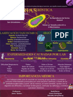 Infografía de Bacterias