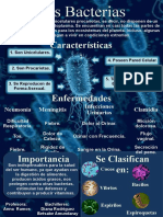 Infografía de Bacterias