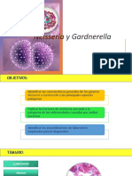Neisseria y Gardnerella 