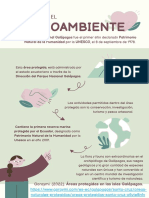 Poster Plantemos Un Árbol