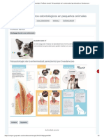 Vooc Odontología - Profilaxis Dental - Fisiopatología de La Enfermedad Periodontal Por Swedencare