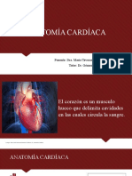 Anatomía Cardíaca