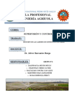 GRUPO N°1 - SUPERVICION Y CONTROL DE OBRAS-Resumen de Las Labores de Supervision de Obras