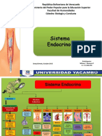 Sistema endocrino: glándulas y hormonas