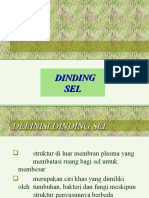 Dinding Sel Revisi
