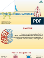 Sistema Circulatorio