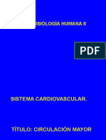 Sistema Arterial