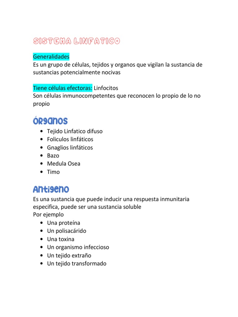 Sistema Linfático Y Respuesta Inmune Pdf Linfocitos Ganglio Linfático