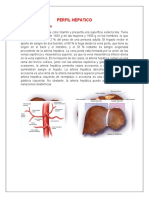 Perfil Hepatico