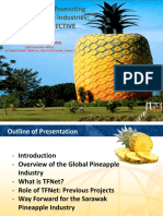 J - Role of TFNET in Promoting Global Pineapple Industries Sarawak Perspective (TFNET - DR Mohd Desa Bin Hj. Hassim)