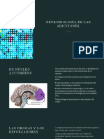 Unidad II.-NeurobiologÃ - A de Las Adicciones