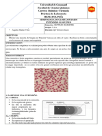 PRÁCTICA 7 Hematologia