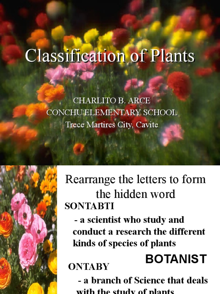 Plant Classification PDF