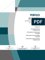 Perfiles-1