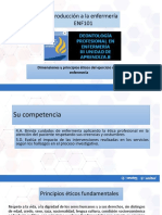 14.dimensiones y Principios Éticos en Enfermería