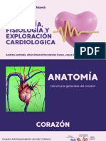 Universidad Anáhuac Mayab: Anatomía, Fisiología Y Exploración Cardiologica