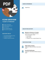 Blue Light Blue Color Blocks Flight Attendant CV